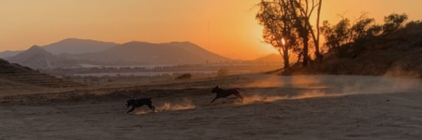 NMFOLIFE's profile banner image