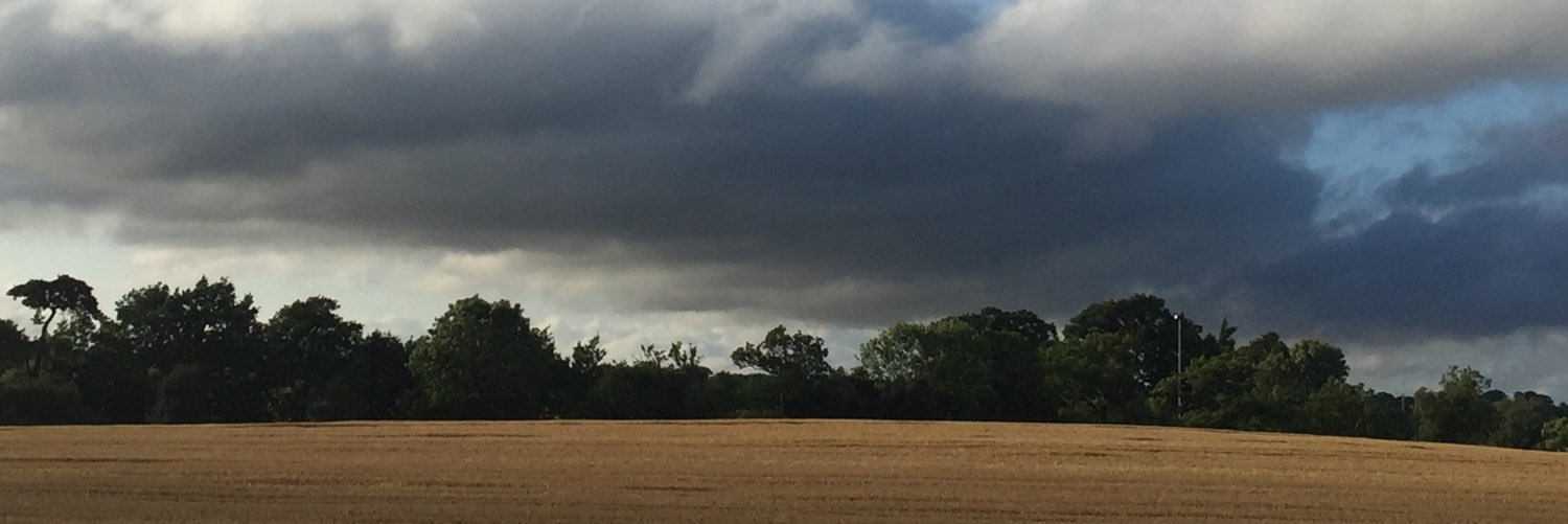 Faye Ridley banner