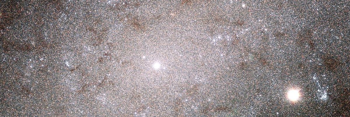 jrafamm's profile banner image