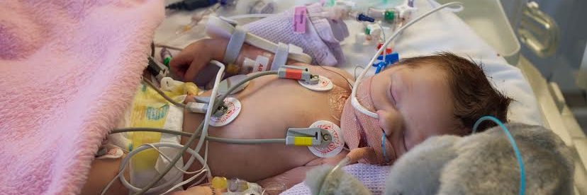 Tiny Tickers Charity banner