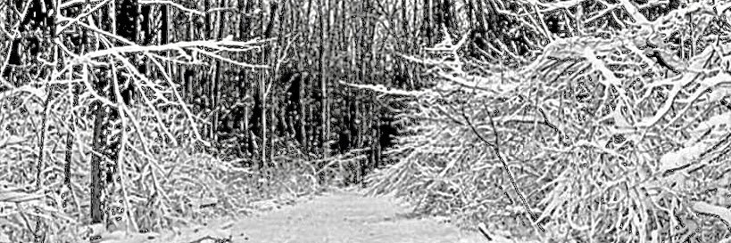 MarkKwoka's profile banner image
