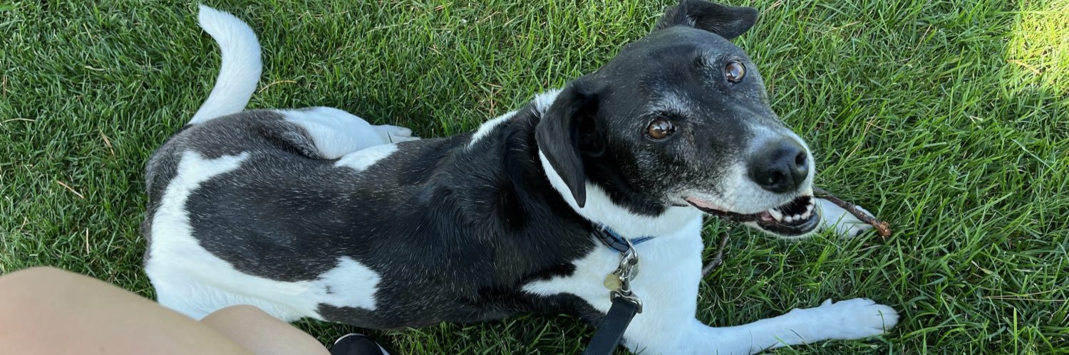 bsky: ranatalus@ddrextre.me banner