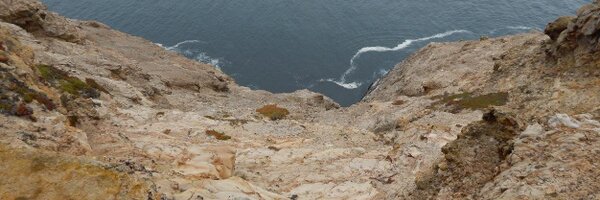 VivekIsTweeting Profile Banner