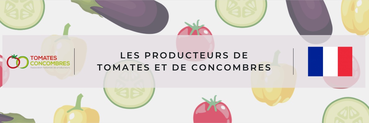 Producteurs de tomates et de concombres de France banner