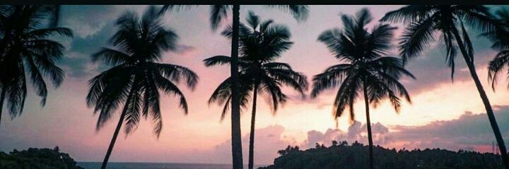 jcr_junior's profile banner image