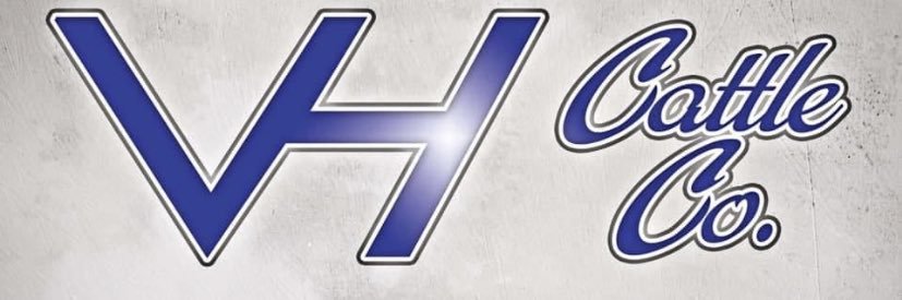 BurkVanHorn's profile banner image