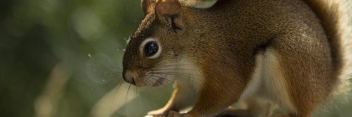 dave_ve1's profile banner image