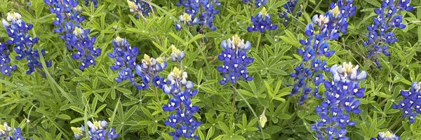 _AndrewBoggs Profile Banner