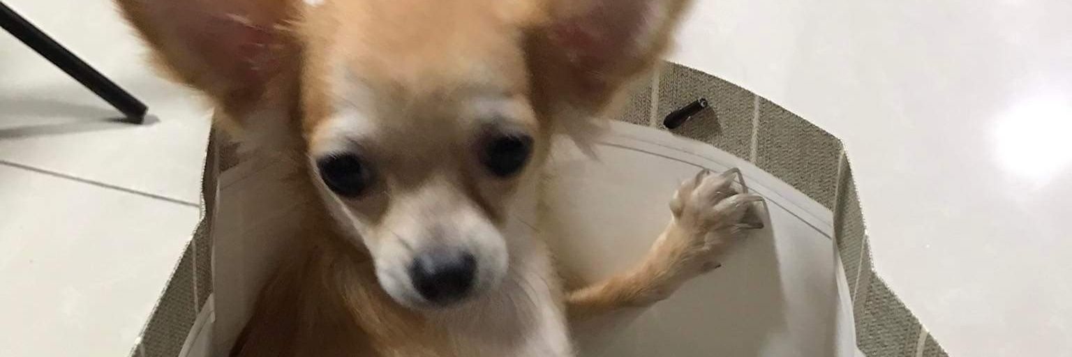 rakxtar's profile banner image