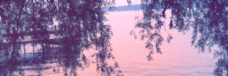 BryanthaMF's profile banner image