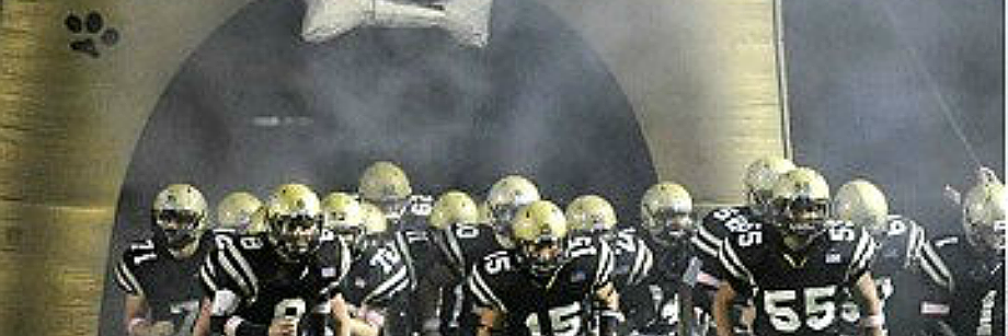 NedDogs's profile banner image