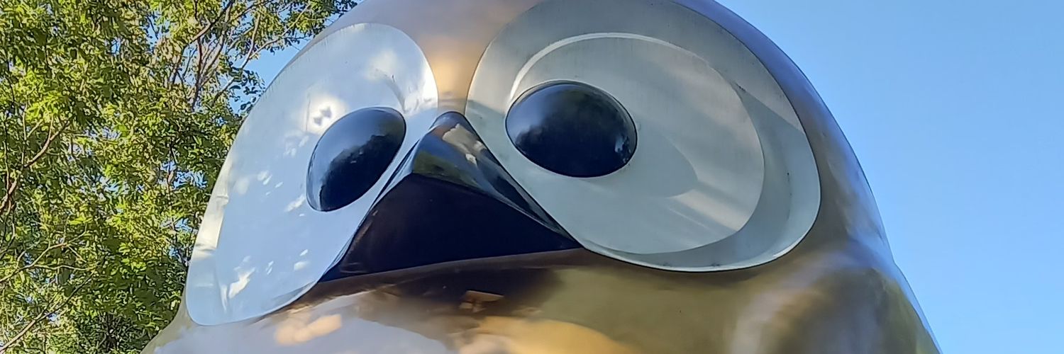 なでしこ(๓´罒`๓)♪♪ banner