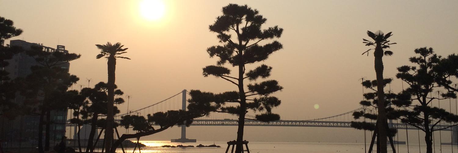 wud0401's profile banner image