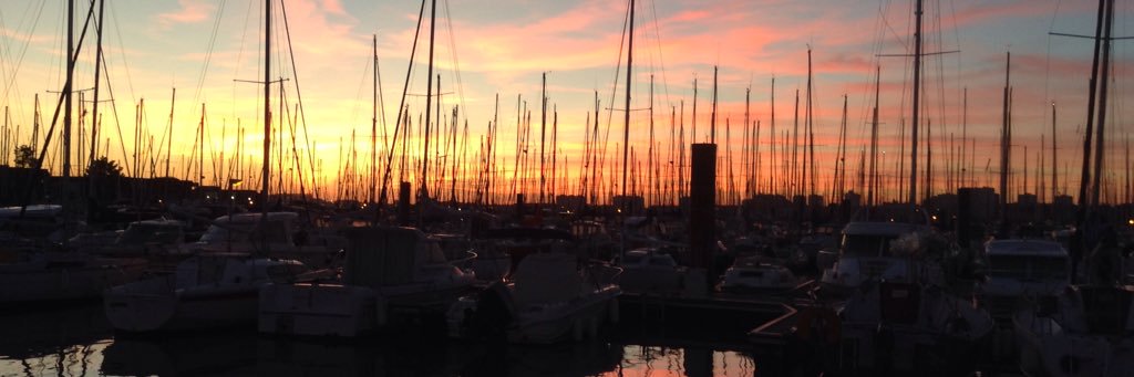 Virginia Curtis banner