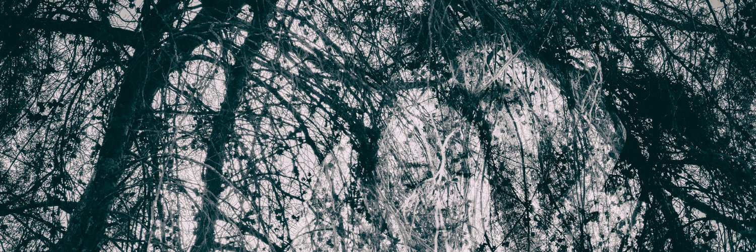 PedroAlvarezG's profile banner image
