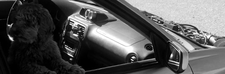 CT_chillen17's profile banner image