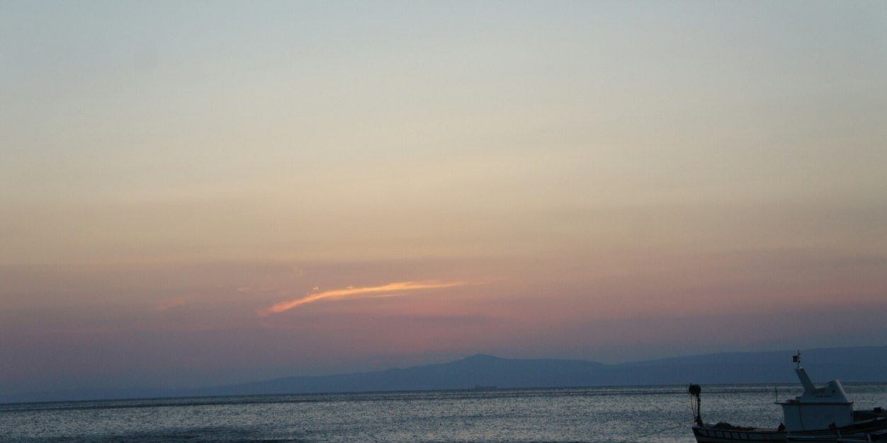 Filiz Pehlivanoglu banner