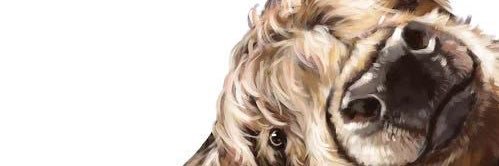 SamDamschroder's profile banner image