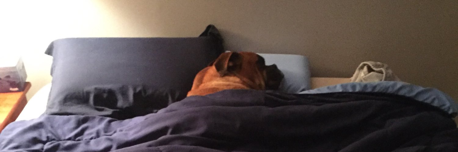 ErinZenker's profile banner image