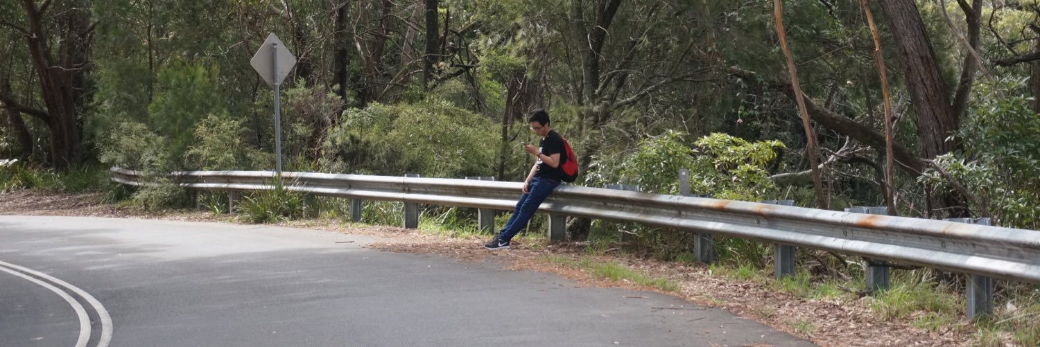 Tu Hoang banner
