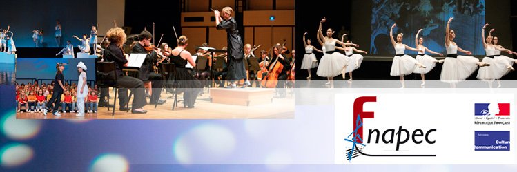 Fnapec's profile banner image