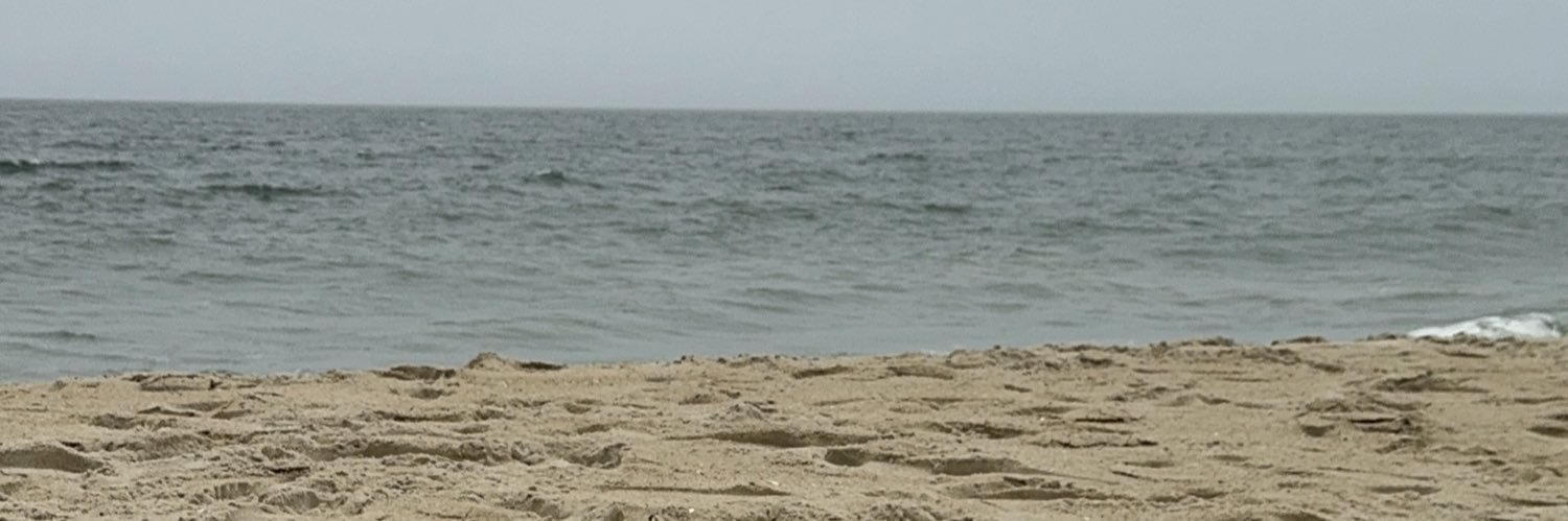 Lilmisspjay's profile banner image