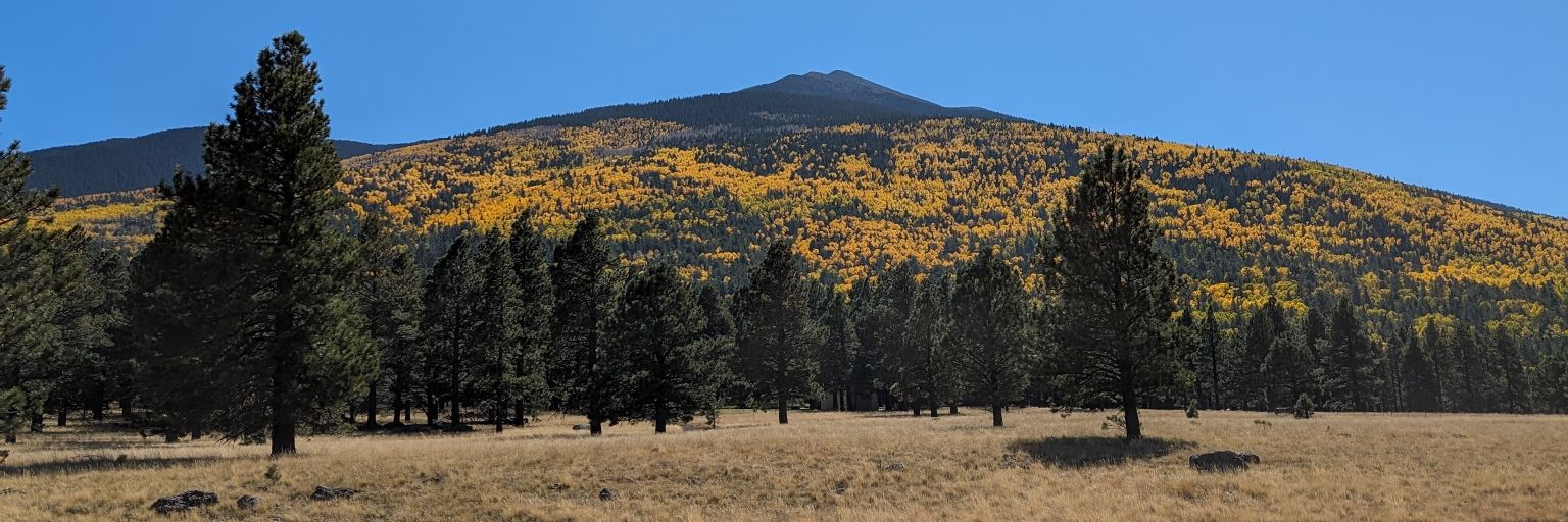 Tyler Hillery banner