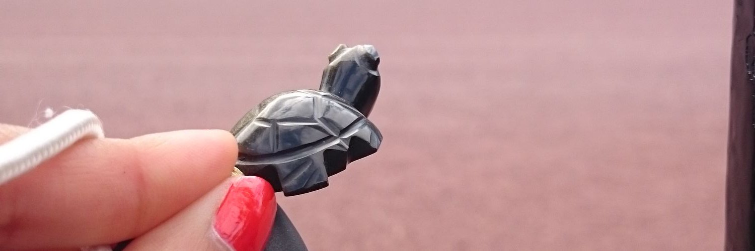 charvi21's profile banner image