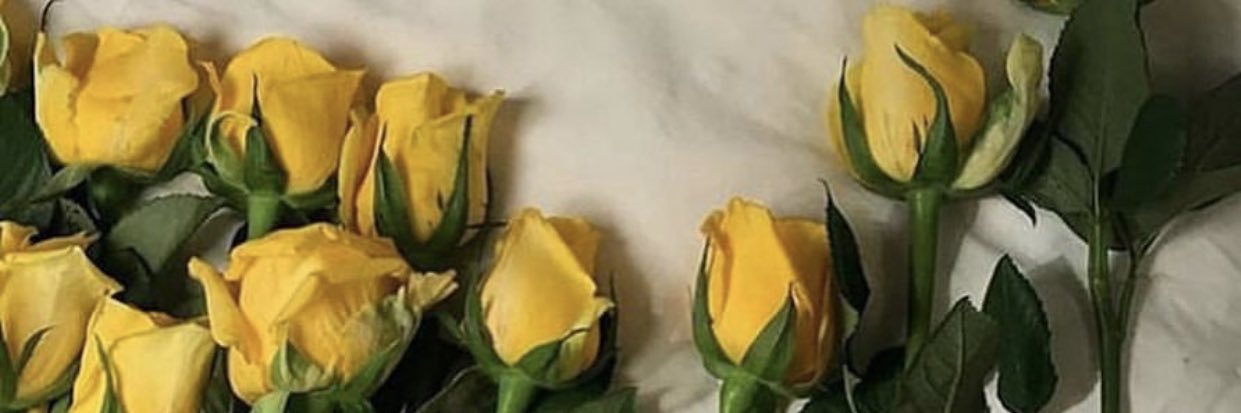 HoOfaa1's profile banner image