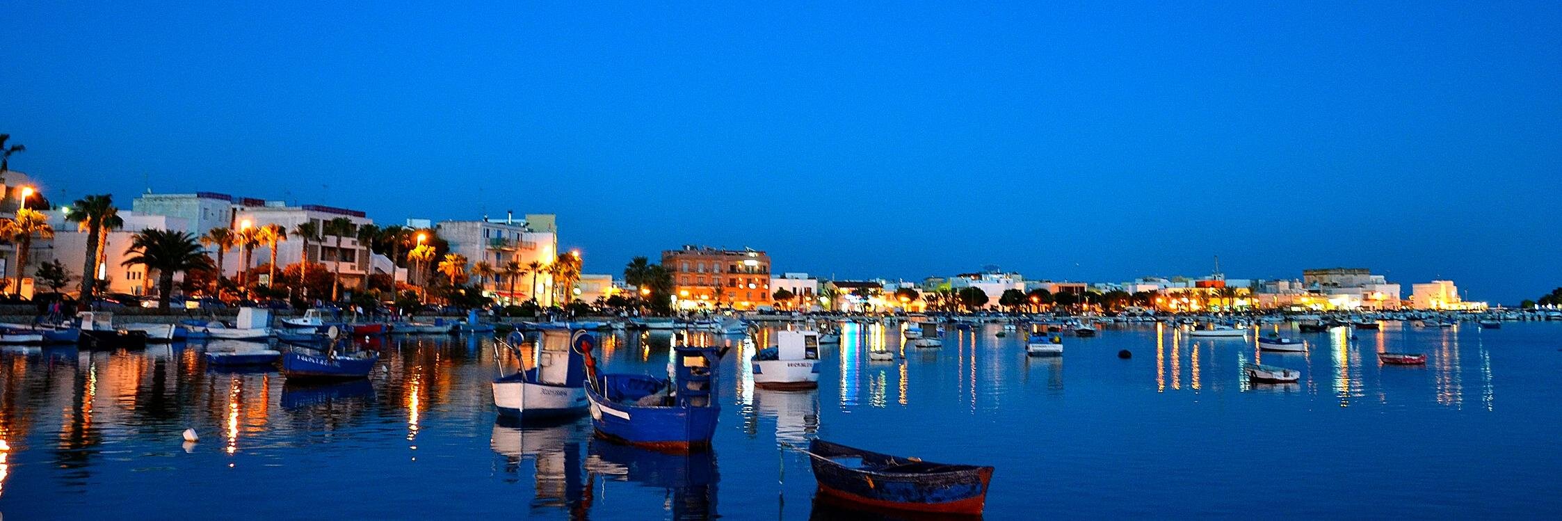 ScelgoSalento's profile banner image
