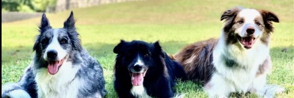 augustocesarfm Profile Banner