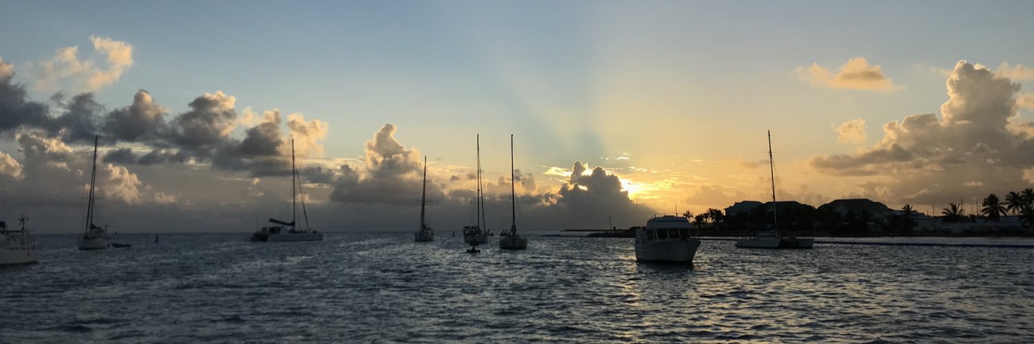 joyau bertrand banner