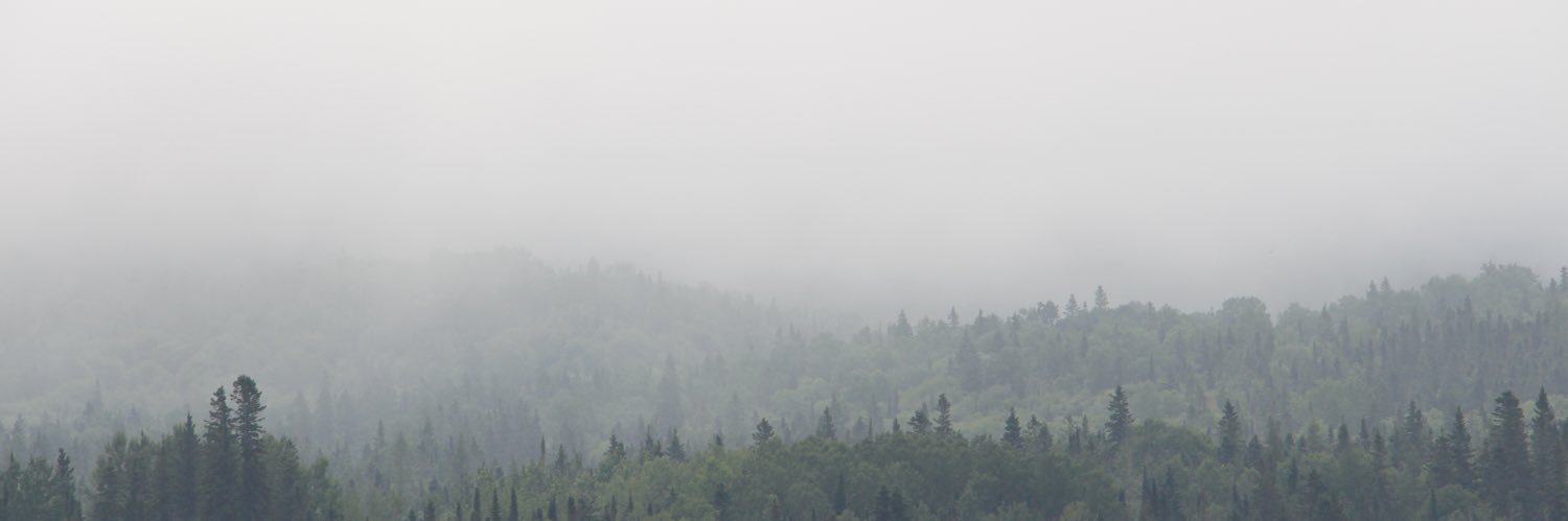 natosurewould's profile banner image