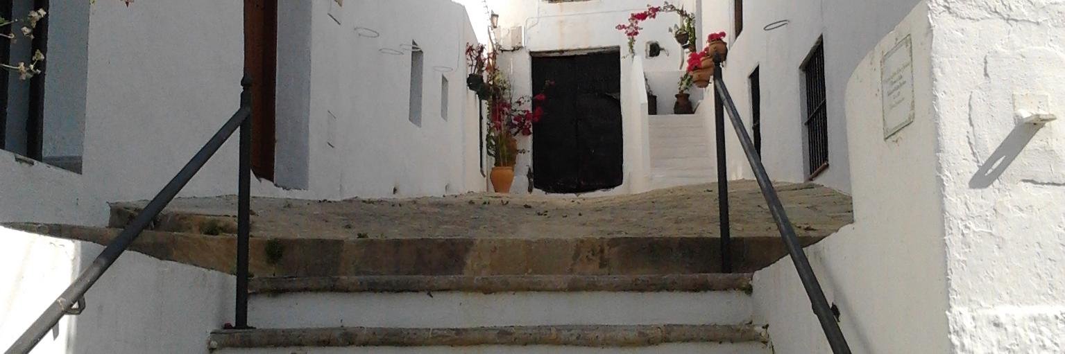 Ana Aristu banner