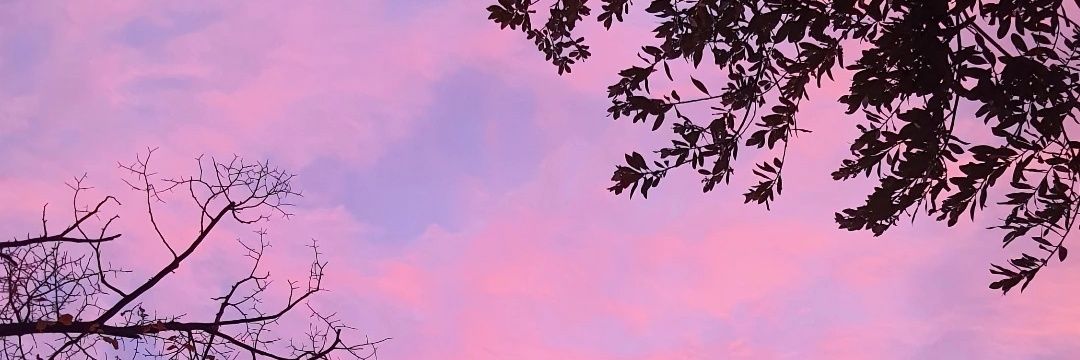 edanurdmrc's profile banner image