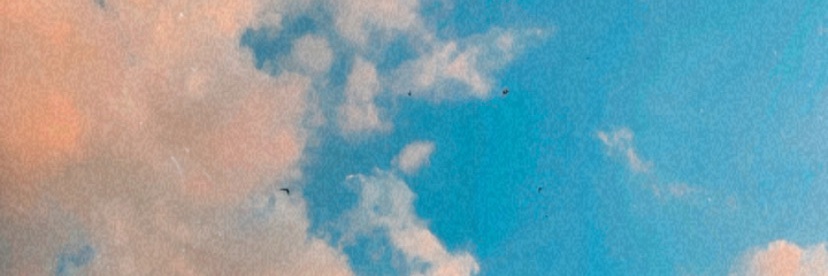 macarodriguezd's profile banner image