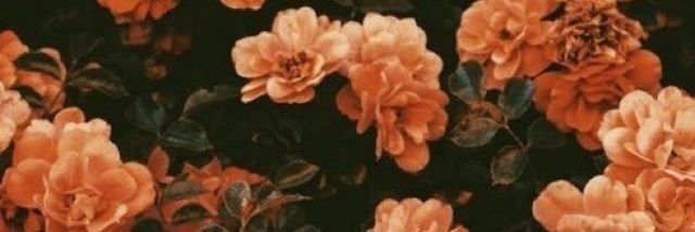 alwaysbeenbrad's profile banner image