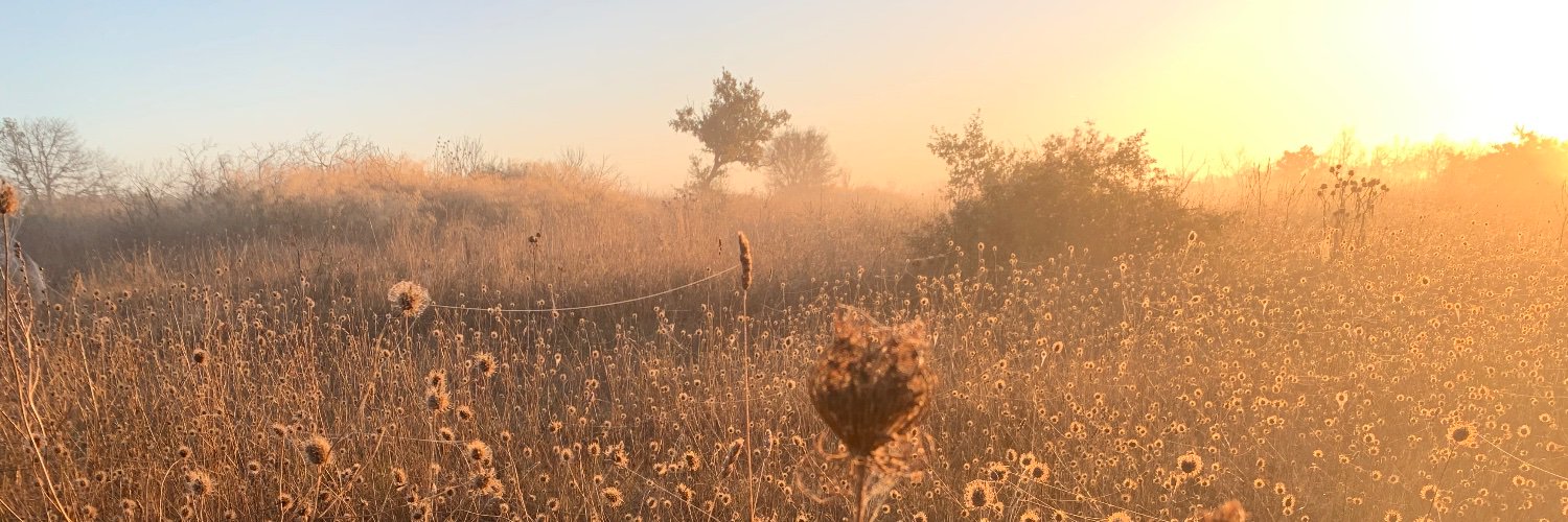 errante_l's profile banner image