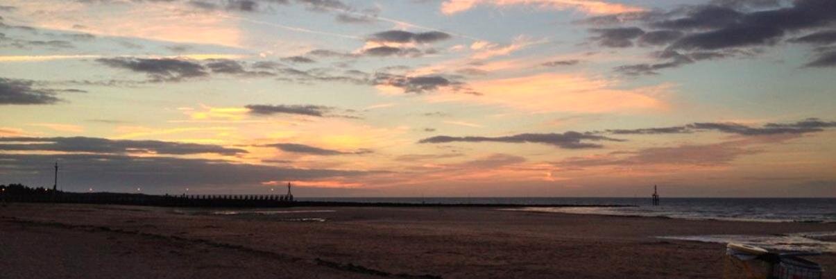 Lykle de Vries banner