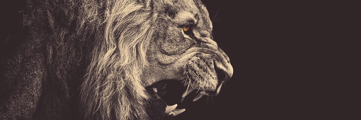 MaritzZach's profile banner image