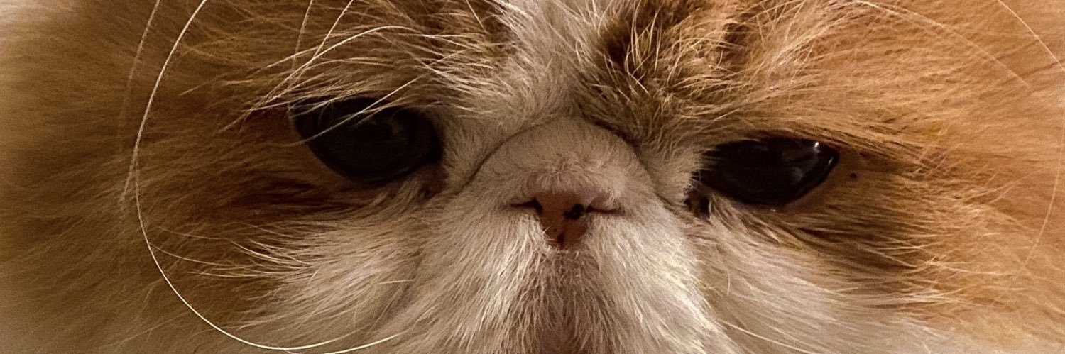 Kamrin - The Bad Boy banner