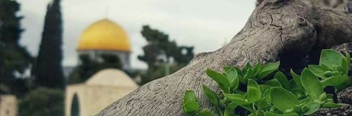 OTM_q8's profile banner image