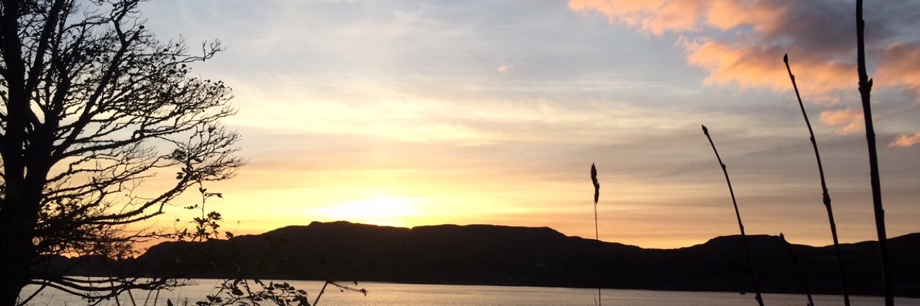 lillimckenzie's profile banner image