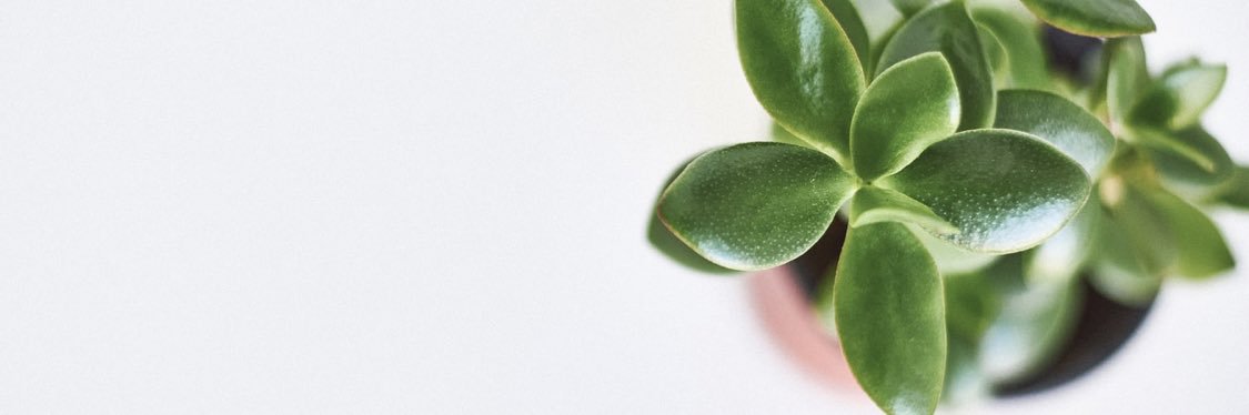 morennena's profile banner image