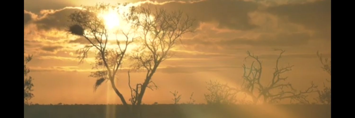 CalVeldon's profile banner image