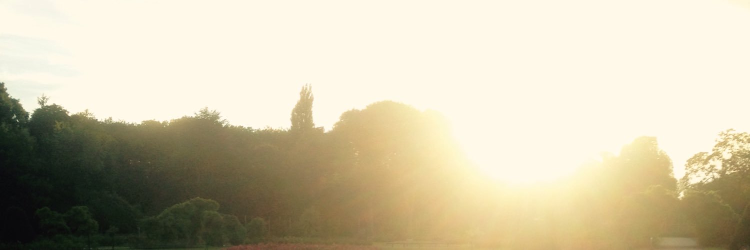 roederl's profile banner image