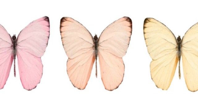 maryktenney's profile banner image