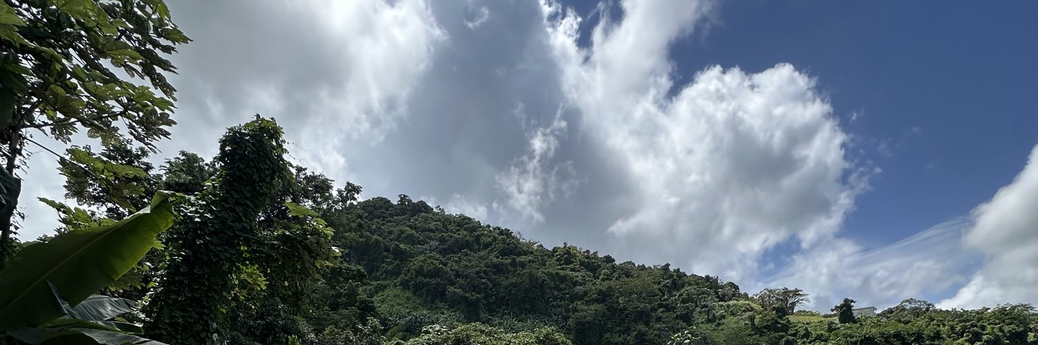 whitelashes_'s profile banner image