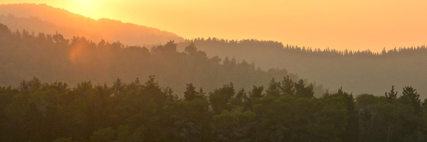 PanTruszkowski's profile banner image