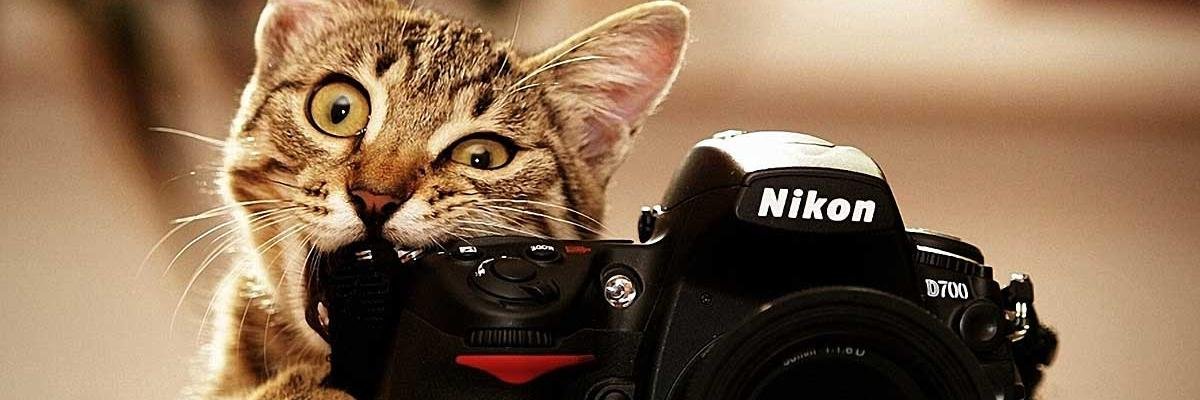 Serg_Petroff's profile banner image